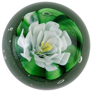 Large Paperweight - White Water Lily 91193W View 3