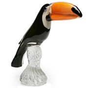 Toucan Bird 25456 View 3