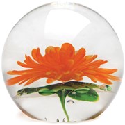Medium Paperweight - Chrysanthemum Orange Glow 86124OR View 3