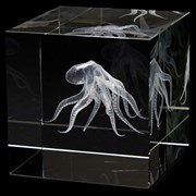 Crystal Cube - Octopus 51301OCT View 3