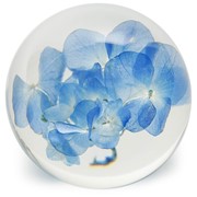FloraCulture Paperweight - Hydrangea 6680HYD View 3