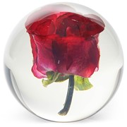 FloraCulture Paperweight - Red Rose 6680RSR View 3