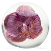 FloraCulture Paperweight - Purple Orchid 6680OPR View 3