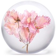 FloraCulture Paperweight - Pink Violet 6680VLP View 3