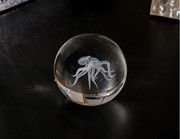 Crystal Paperweight - Octopus 51402OCT View 3