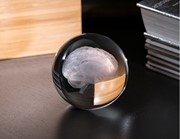 Crystal Paperweight - Human Brain 51409BN View 3