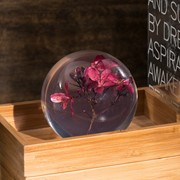FloraCulture Paperweight - Crab Apple Blossom 6680CA View 3