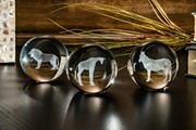 Crystal Paperweight - Zebra 51406ZB View 3