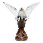 Large Bald Eagle 25159 View 4