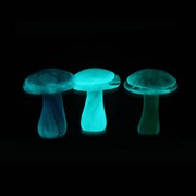 Mushroom - White Glow 84180W View 4