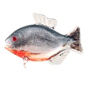 Baby Red Belly Piranha 25020 View 4