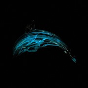 Glow Dolphin (Multiple Colors) 25058 View 4