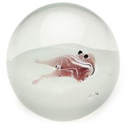 Small Paperweight - Stingray Purple Glow 95311PR View 4