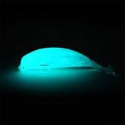 Beluga Whale Glow 25447 View 4