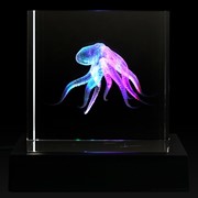 Crystal Cube - Octopus 51301OCT View 4