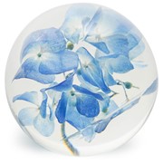 FloraCulture Paperweight - Hydrangea 6680HYD View 4