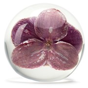 FloraCulture Paperweight - Purple Orchid 6680OPR View 4