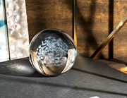 Crystal Paperweight - School of Fish 51402FSH View 4