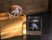 Crystal Paperweight - Octopus 51402OCT View 4