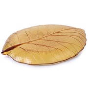 Small Leaf Plate - Amber 503011A View 5