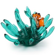 Mini Clownfish in Anemone 26672 View 5