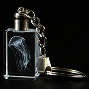 Crystal Keychain - Sea Nettle, Multicolor LED 51905M View 5