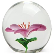 Medium Paperweight - Cherry Blossom 86128 View 5