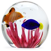 Small Paperweight - Tropical Fish 95317 View 5