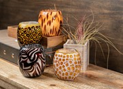 Glisten + Glass Candle Tiger 28205TG-CL View 5