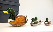 Small Mallard Duck 25441 View 6