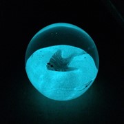 Small Paperweight - Stingray Purple Glow 95311PR View 6