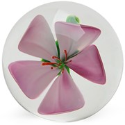 Medium Paperweight - Cherry Blossom 86128 View 6