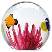 Small Paperweight - Tropical Fish 95317 View 6