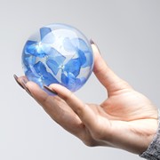 FloraCulture Paperweight - Hydrangea 6680HYD View 6