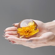 FloraCulture Paperweight - Yellow Dahlia 6680DHY View 6