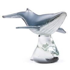 Humpback Whale On Stand
