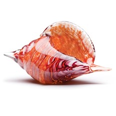 Seashell - Passion Red