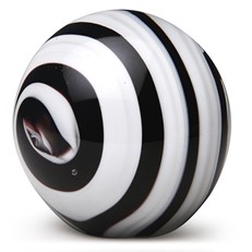 Large Paperweight - Black & White Roll