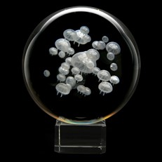 Crystal Sphere - Moon Jellyfish