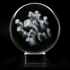 Crystal Sphere - Sea Nettle Jellyfish
