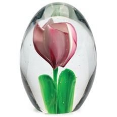Medium Paperweight - Pink Tulip
