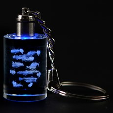 Crystal Keychain - School of Fish, Blue LED