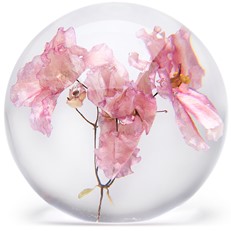 FloraCulture Paperweight - Pink Violet